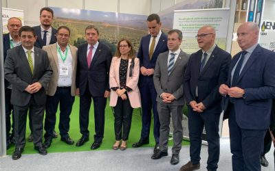 Álbum de imágenes de AEMODA en EXPOLIVA