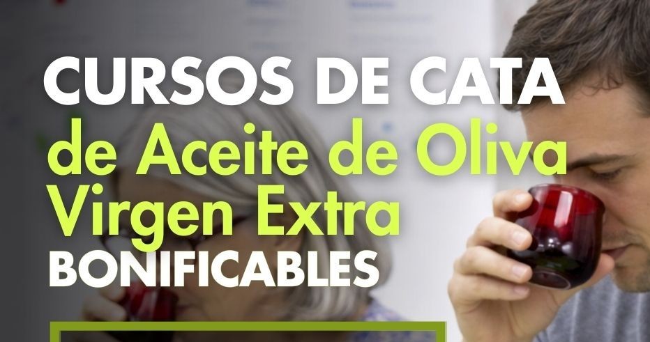 CURSOS DE CATA DEL CENTRO DE INTERPRETACIÓN OLIVAR Y ACEITE